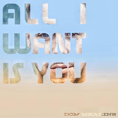All I Want Is You - Single
