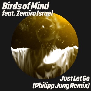 Just Let Go (Philipp Jung Remix) [feat. Zemira Israel] - Single