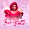 Pour la vie - Single