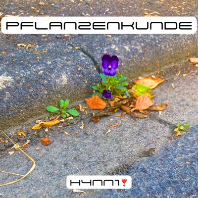 PFL4NZENKUNDE - Single