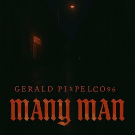 Many Man (feat. Pelcord96) Gerald Pi