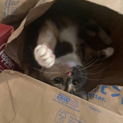 Jakes (feat. Jovan) - Single