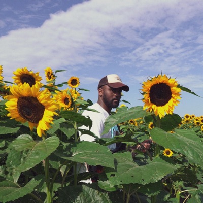 Everybody Loves the Sunshine (My Life) - Single