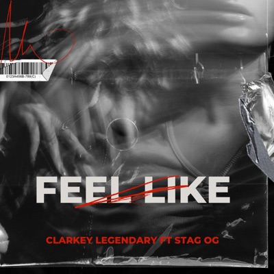 Feel Like (feat. Stag OG) - Single