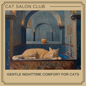 Gentle Nighttime Comfort for Cats