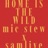 HOME IS THE WILD (feat. Mic Stewart)