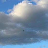 out of the dark - Single - Kayba & olea