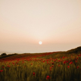 slow mornings kallepdp & hmps