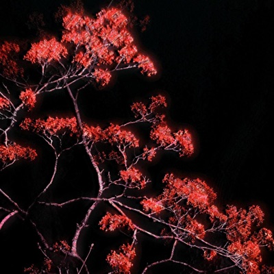 chess (feat. familypet) - Single