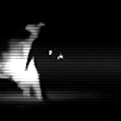 Cuerpo D Mente - Lagrimas - Single