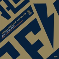 What Do You Want - Single - Bruce Leroys & Lee Wilson