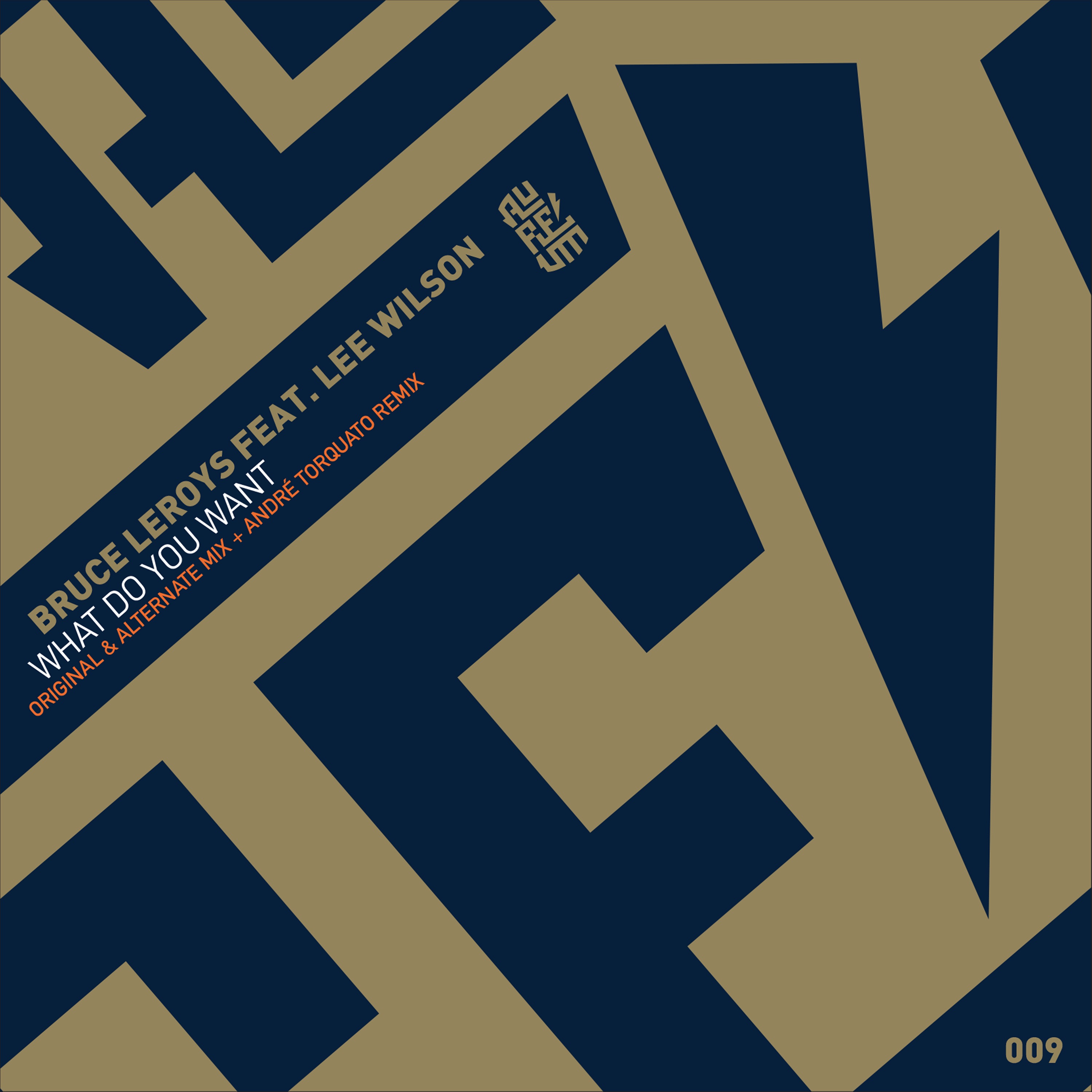 What Do You Want - Single