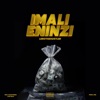 IMALI ENINZI - Single