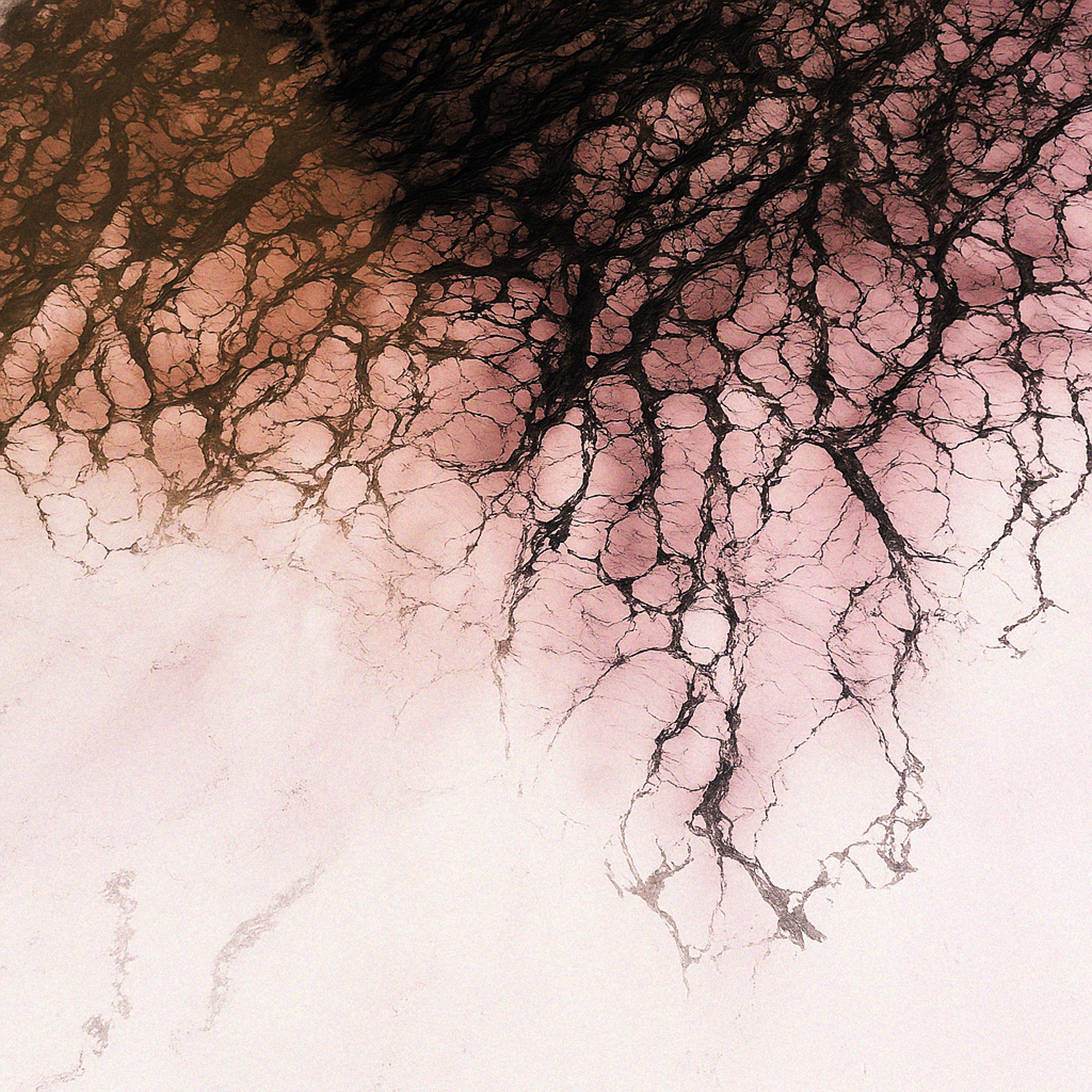 Haine & Plaque - Single