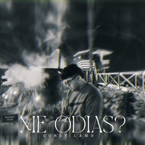 ME ODIAS?