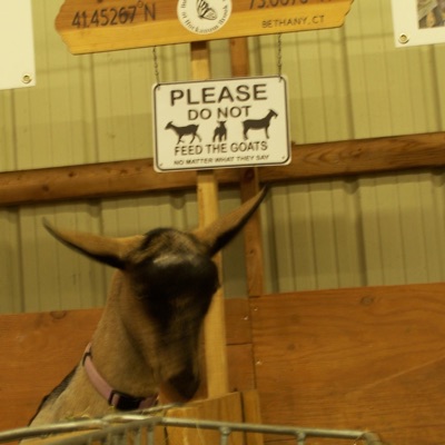 CHIP OFF THE BLOCK - Single