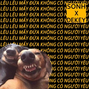 Lêu Lêu Mấy Đứa Không Có Người Yêu - Single