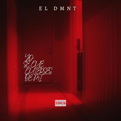 YO SE QUE QUIERES DE MI (feat. Dimelo Jotace) - Single