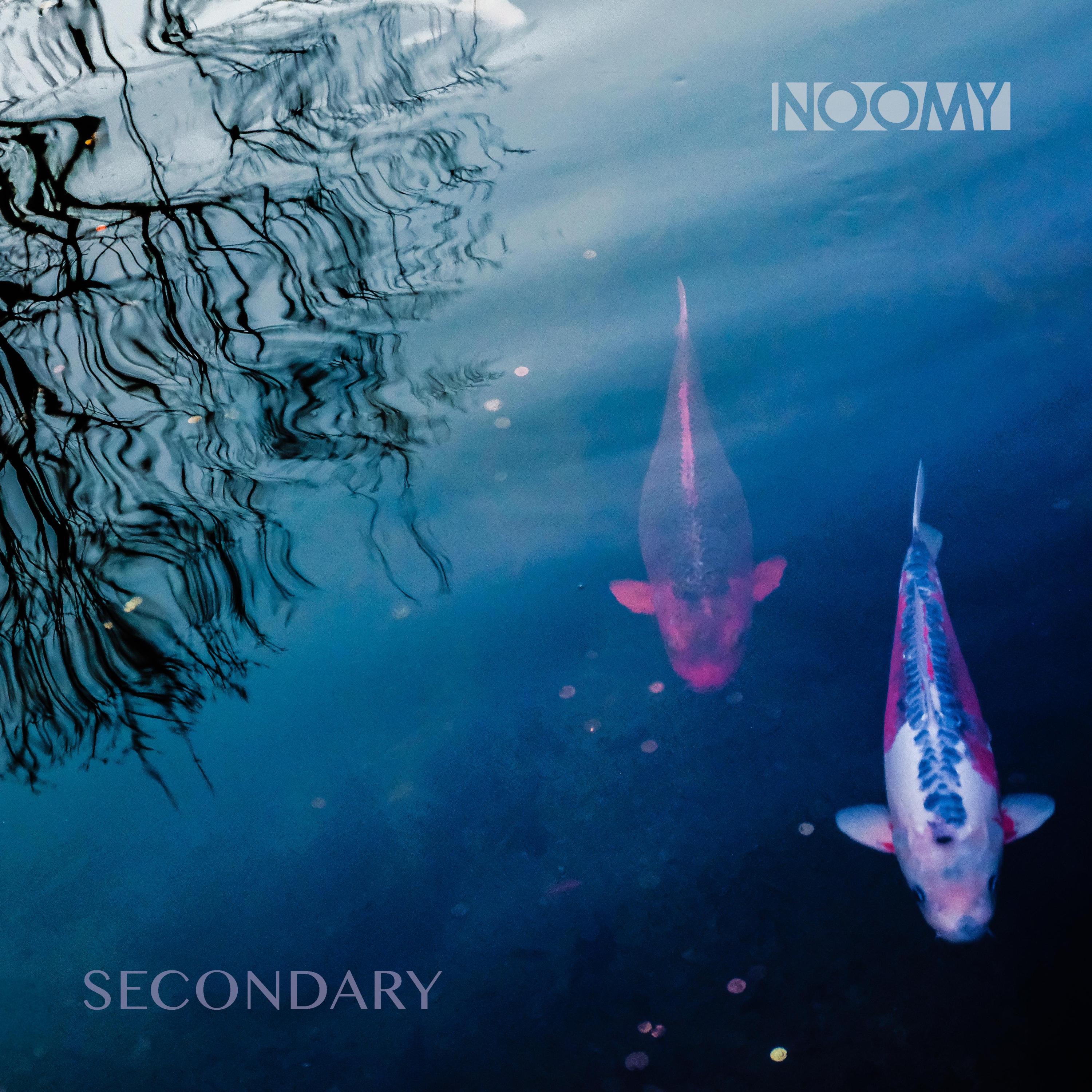 Secondary - Single