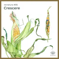 Reforestación Mutante.scinax — re:natura & Berenice Llorens