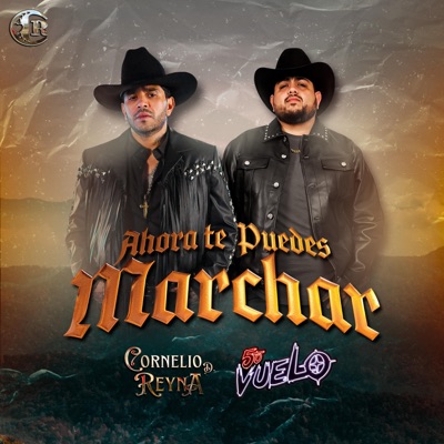 Ahora Te Puedes Marchar (feat. 5to Vuelo) - Single
