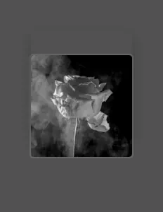 Écoutez Golden Pearl Music, regardez des vidéoclips, lisez la biographie, consultez les dates de tournée et plus encore !