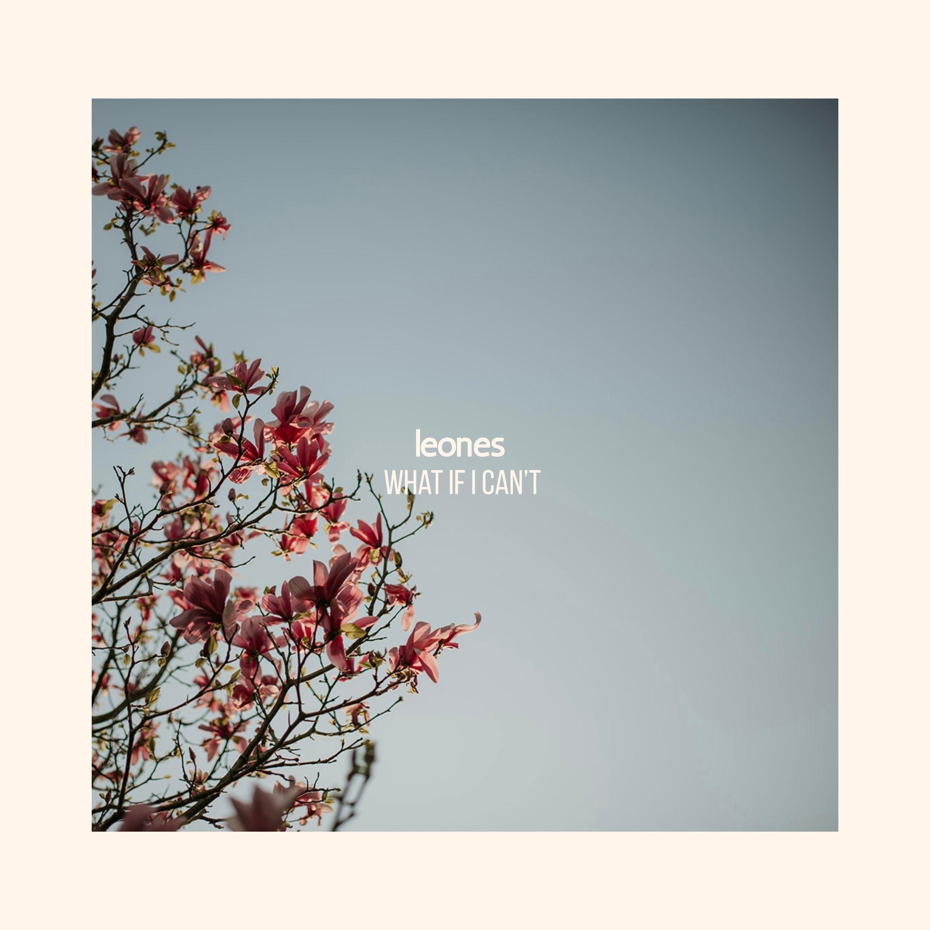 What if I can't - EP