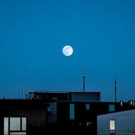 so far away too unbothered. & Stradijulian