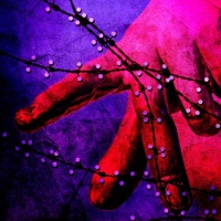 Grapevines - Single - Sky Limits