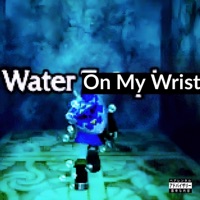 Water On My Wrist (feat. BranTheDon) - Single - Yung Ryry