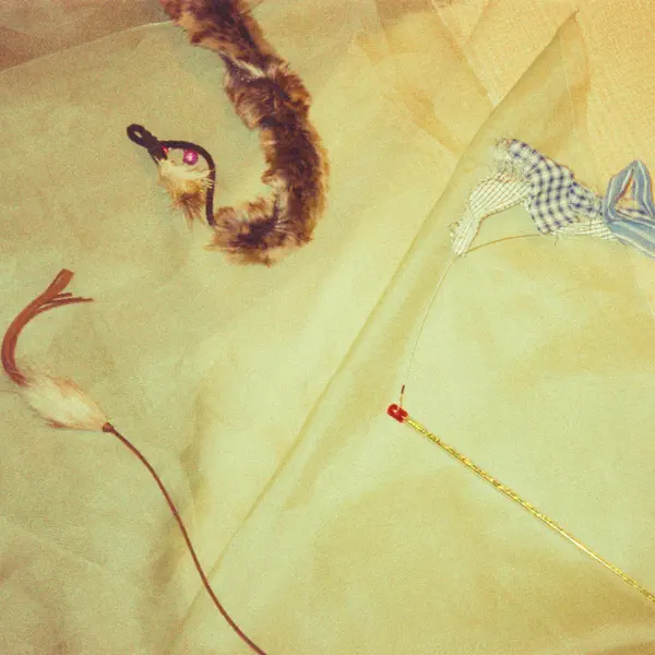 ざくろ by 猫戦 – Apple Music