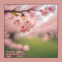 Kirschblüte 3 - Single - Futek