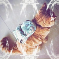 dropout - Single - Bugboi