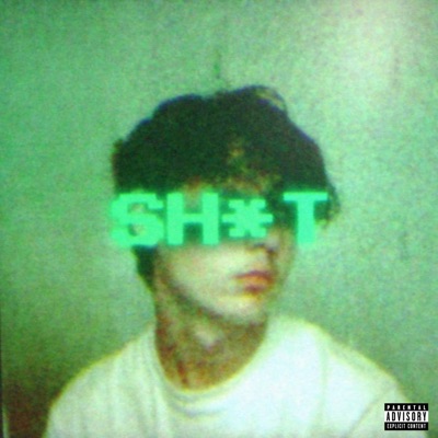 ANALOG SH*T