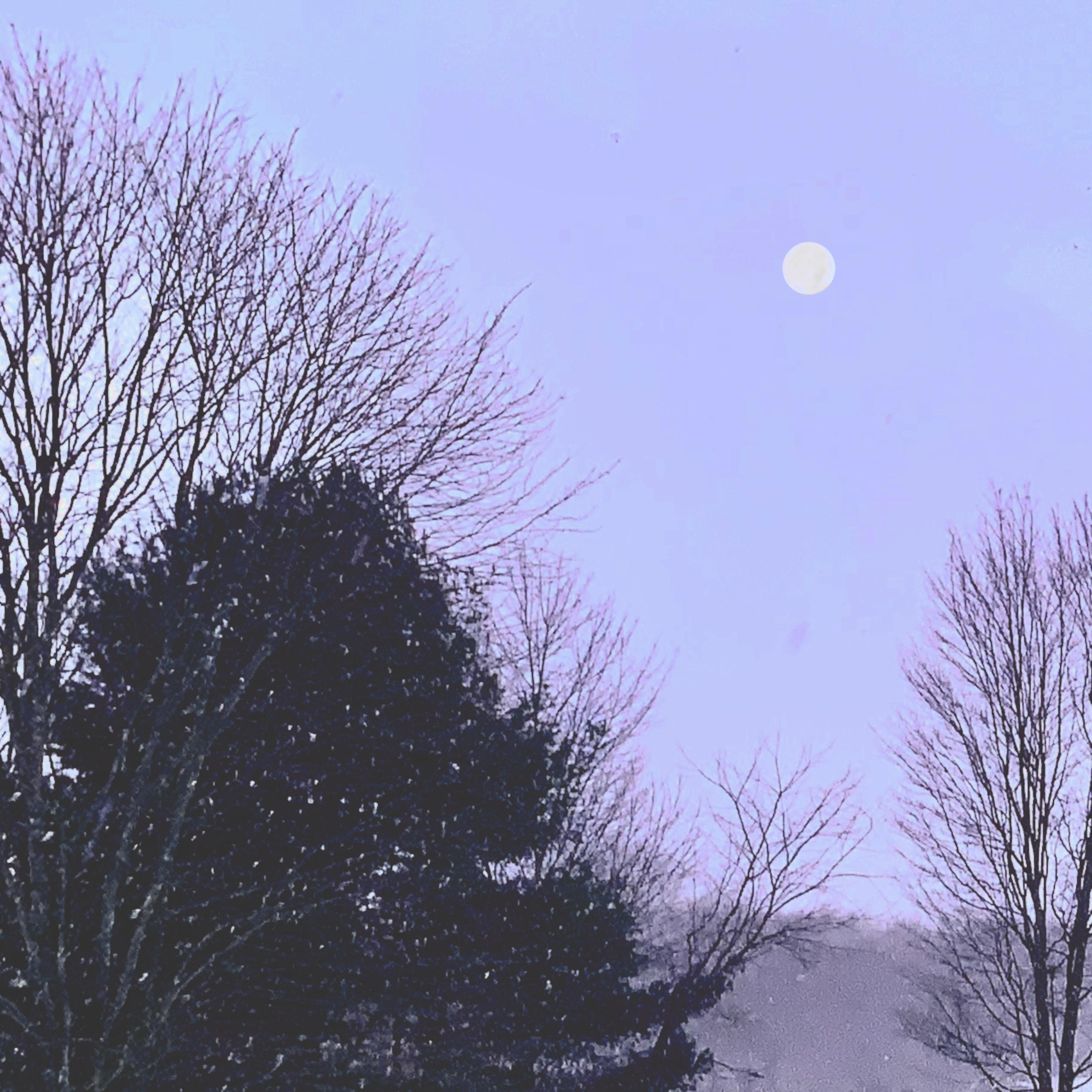 another winter - Single