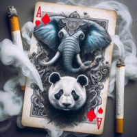 Album cover for Panda by El Bunker