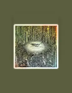 Toto et les Sauvagesを聴いたり、ミュージックビデオを鑑賞したり、経歴やツアー日程などを確認したりしましょう！