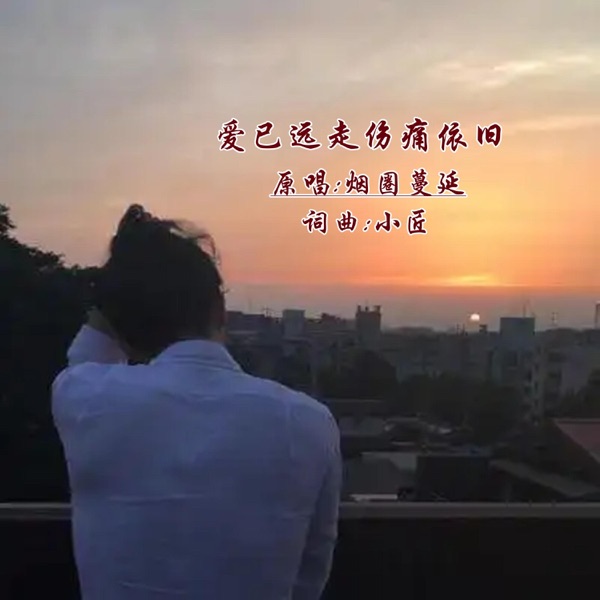 爱已远走伤痛依旧 (DJ版) - Single