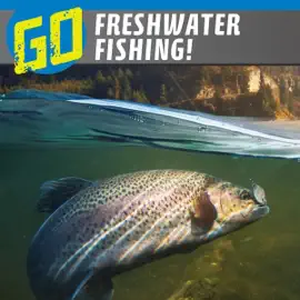 Go Freshwater Fishing!: The Wild Outdoors (Unabridged)