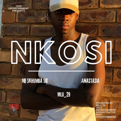 Nkosi (feat. Mlu_29) - Single