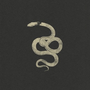 DEVIL IS A LIAR - Single