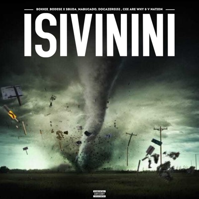 Isivinini (feat. CeeAreWhy & V Nation) - Single