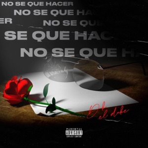 No se que hacer