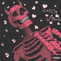 Catch A Vibe - Single - Wydcooper