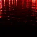 Night Vision