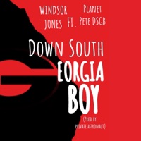 Down South Georgia Boy (feat. Windsor Jones & Planet Pete DSGB) - Single - Private Astronaut
