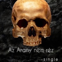 AZ ARANY NEM RÉZ!! (feat. NVSBL & Lord P) - Single - Mad Boar