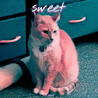 Lil Pent의 Sweet을(를) 감상해 보세요.