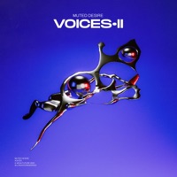 Voices II - Single - Muted Desire & Denzell
