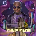 PHENOMENA